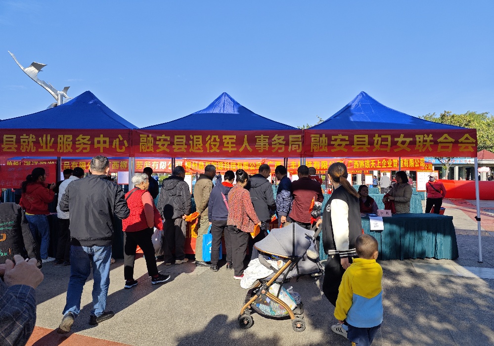 圖3:11月29日,融安縣2024年粵桂協作暨高校畢業生專場招聘會現場(徐輝 攝)_副本.jpg